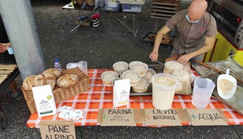 Pane e... acciughe 2026