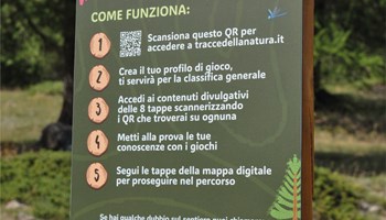 Tracce della natura