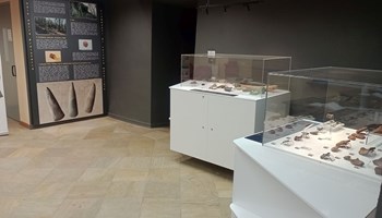 Visita per classi al Museo Laboratorio della Preistoria 