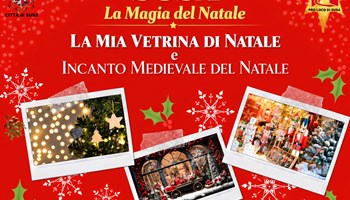 La mia Vetrina di Natale e Incanto Medievale del Natale