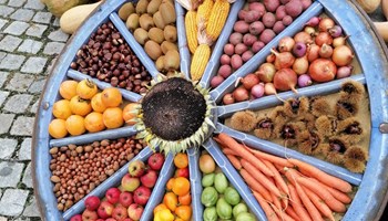 Festa d'Autunno e della Pômâ dë Vëno 2026
