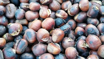 Festa d'Autunno e della Pômâ dë Vëno 2026