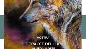 Le tracce del lupo