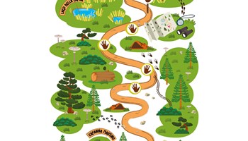 Tracce della natura
