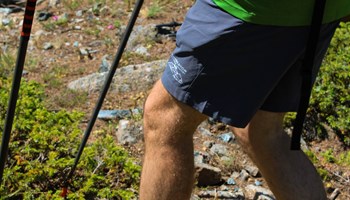 Tracce della natura