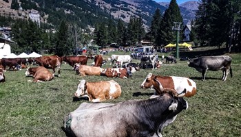 Antica Fiera Zootecnica dell'Escarton di Pragelato 2026