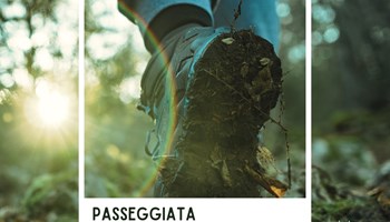 "VERSO L'ALTO": FORMAZIONE E PASSEGGIATE ALL'ORRIDO DI FORESTO