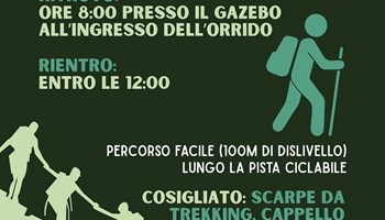 "VERSO L'ALTO": FORMAZIONE E PASSEGGIATE ALL'ORRIDO DI FORESTO