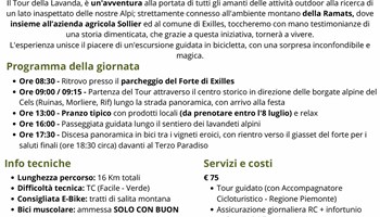 Un "Tour della Lavanda" tra Exilles e Chiomonte 