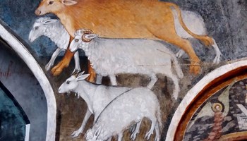 "Hic sunt Viperae": alla scoperta degli animali a Sant’Antonio di Ranverso