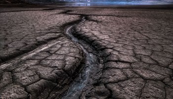 Kingdom of mud III_IG_VERT Kingdom of mud III_IG_VERT.jpg