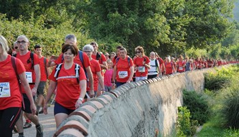 Maratona FVM2018 - Diego-57 Maratona FVM2018 - Diego-57.jpg