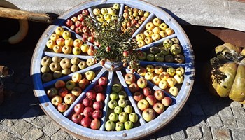 Festa d'autunno “Pômâ dë Vëno” a Venaus