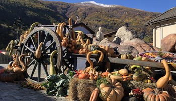 Festa d'autunno “Pômâ dë Vëno” a Venaus