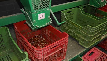 1008 selezione 1008 selezione.jpg