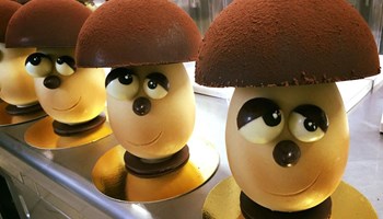 1100 funghi 1100 funghi.jpg