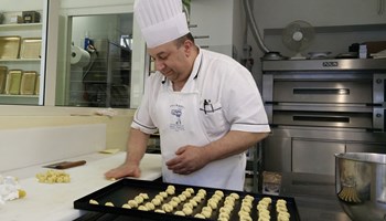 1100 ovis mollis 1100 ovis mollis.jpg