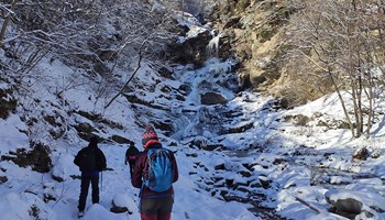 1000 escursione neve 1000 escursione neve.jpg