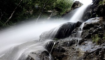 1000 fall 1000 fall.jpg