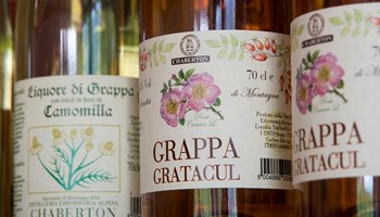grappe2 grappe2.jpg