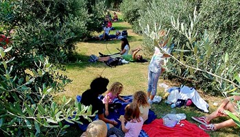 PIC-NIC ALL'OLIVETO ROSSETTO!