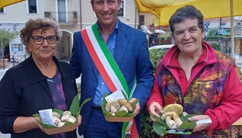 Giaveno dal 1 ottobre festeggia il fungo: domenica 11 la Fiera nazionale