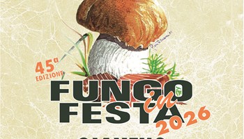 Giaveno dal 1 ottobre festeggia il fungo: domenica 11 la Fiera nazionale