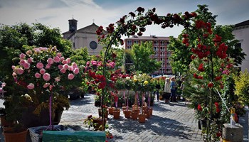 Domenica 10 maggio a giaveno ci sono "Maggionatura" e "GiaVINO"