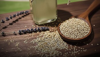 NODO PINEROLO: LABORATORI E MOSTRE DI MARZO