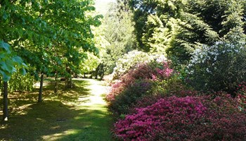 Il Parco Comunale Villa Widemann di San Germano